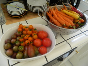 Tomatoes and carrots from the garden