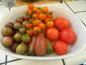 Tomatoes from the garden